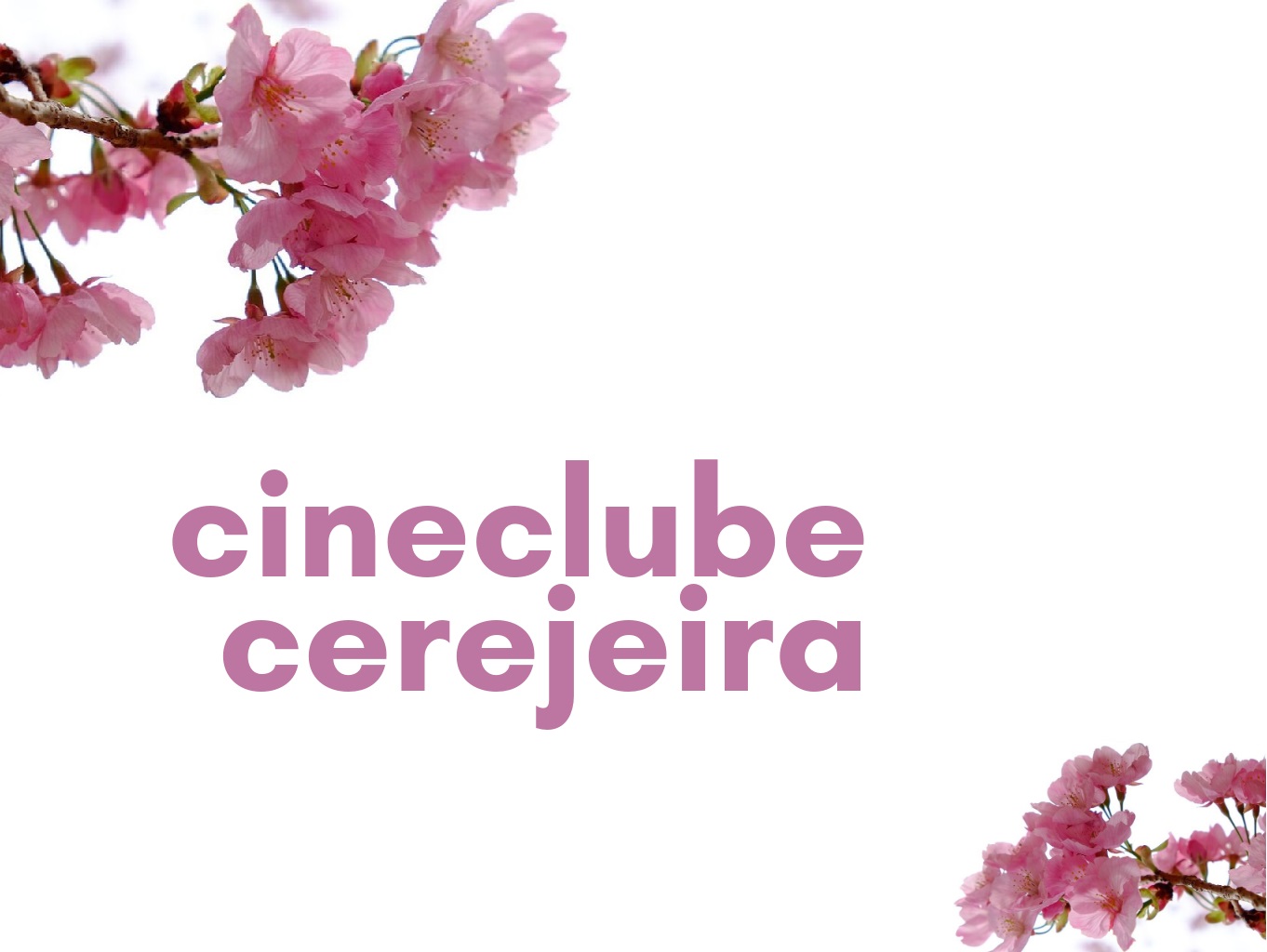 Cineclube cerejeira