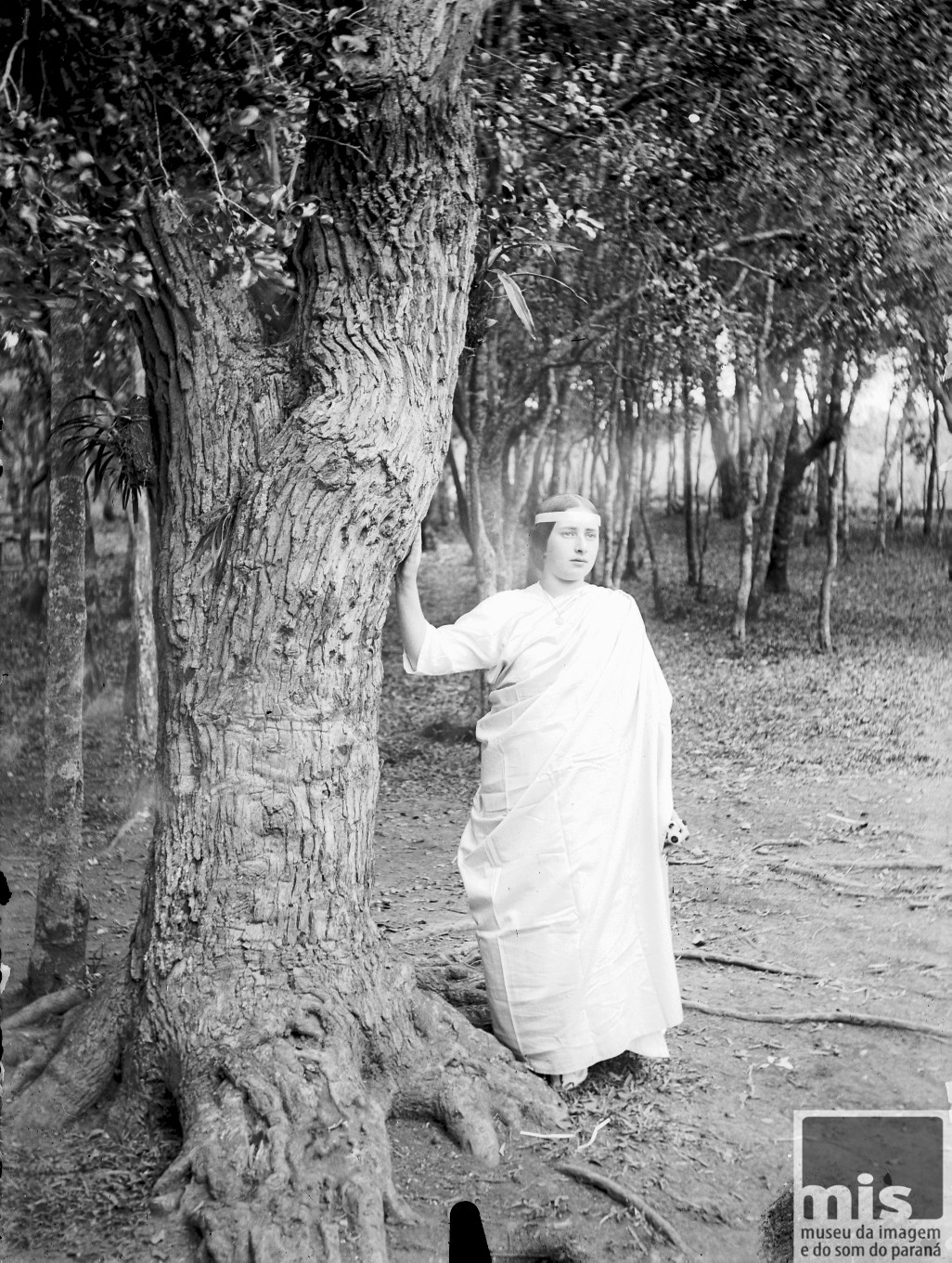 Musa no jardim do Templo das Musas, Curitiba.