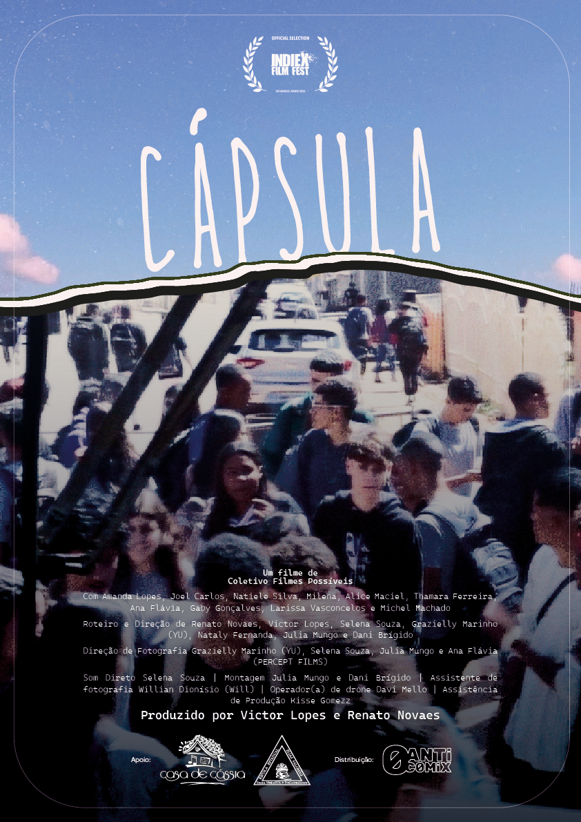 capsule-poster_-_anti_comix