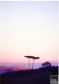 Paisagem Paranaense com pôr do sol