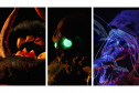 MIS-PR recebe exposição que reúne stop motion, mídias mistas e folclore. Fotos: Divulgação