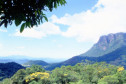 Vista da Serra do Mar