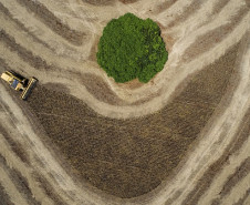 Colheitadeira atravessa o campo