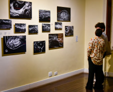 Com público recorde, MIS-PR consolida 2025 como ano de modernização e expansão pelo Paraná