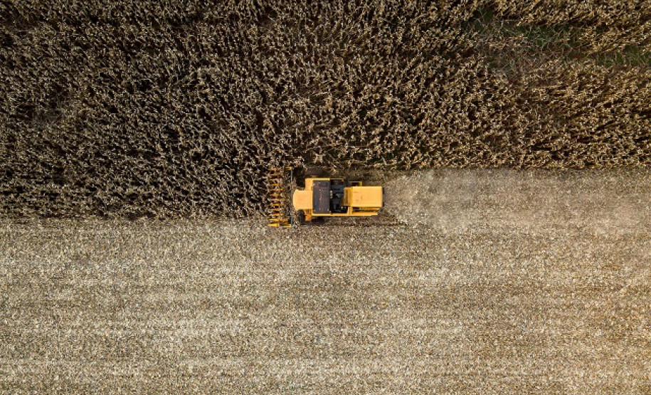 Colheitadeira no meio de uma plantação