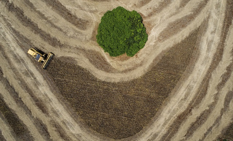 Colheitadeira atravessa o campo