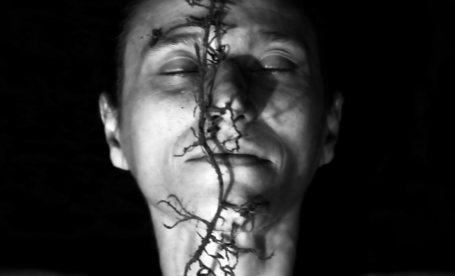 “Ciclo(s)”: MIS-PR promove nova exposição com obras de Lu Berlese e Michelle Serena