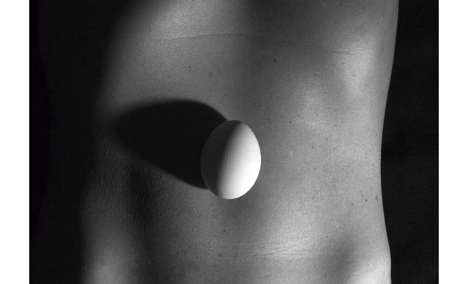 “Ciclo(s)”: MIS-PR promove nova exposição com obras de Lu Berlese e Michelle Serena