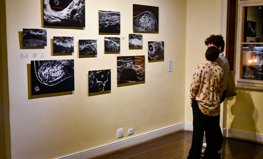 Com público recorde, MIS-PR consolida 2025 como ano de modernização e expansão pelo Paraná