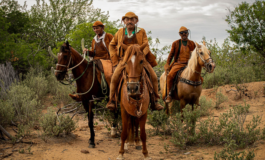Mês das mulheres: MIS-PR divulga programação gratuita de março. Foto: Débora Ling